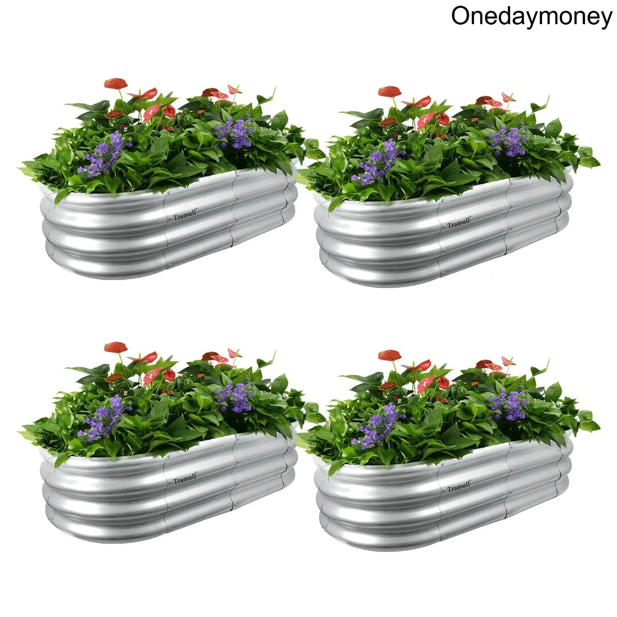 4x2x1FT Galvanized Raised Garden Bed