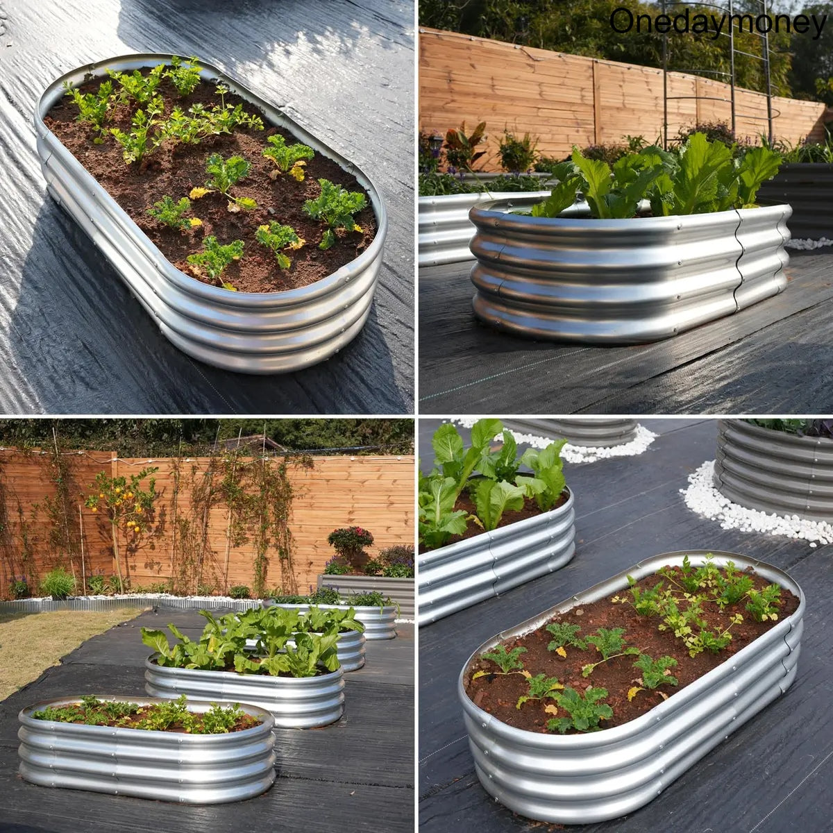 4x2x1FT Galvanized Raised Garden Bed